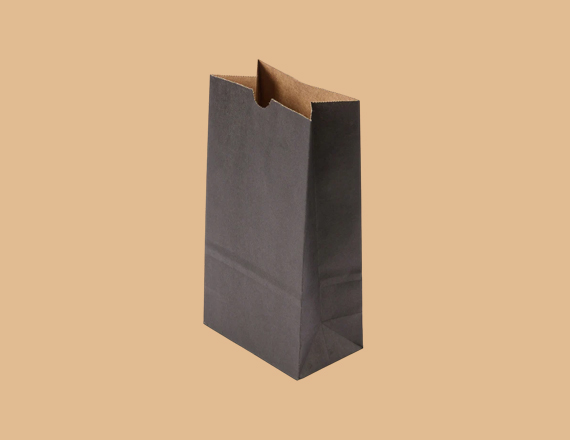 Paper Lunch Bags