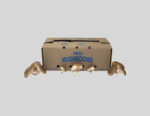 Mushroom Boxes - Image 4