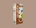 Chocolate Milk Boxes - Image 3