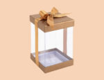 Clear Lid Boxes - Image 3