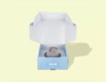 Hat Shipping Boxes