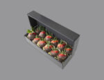 Strawberry Boxes - Image 3