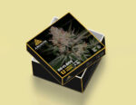 Cannabis Seed Packaging - Image 3