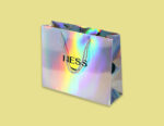 Holographic Bags