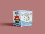 Mushroom Boxes - Image 3