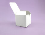 White Kraft Boxes